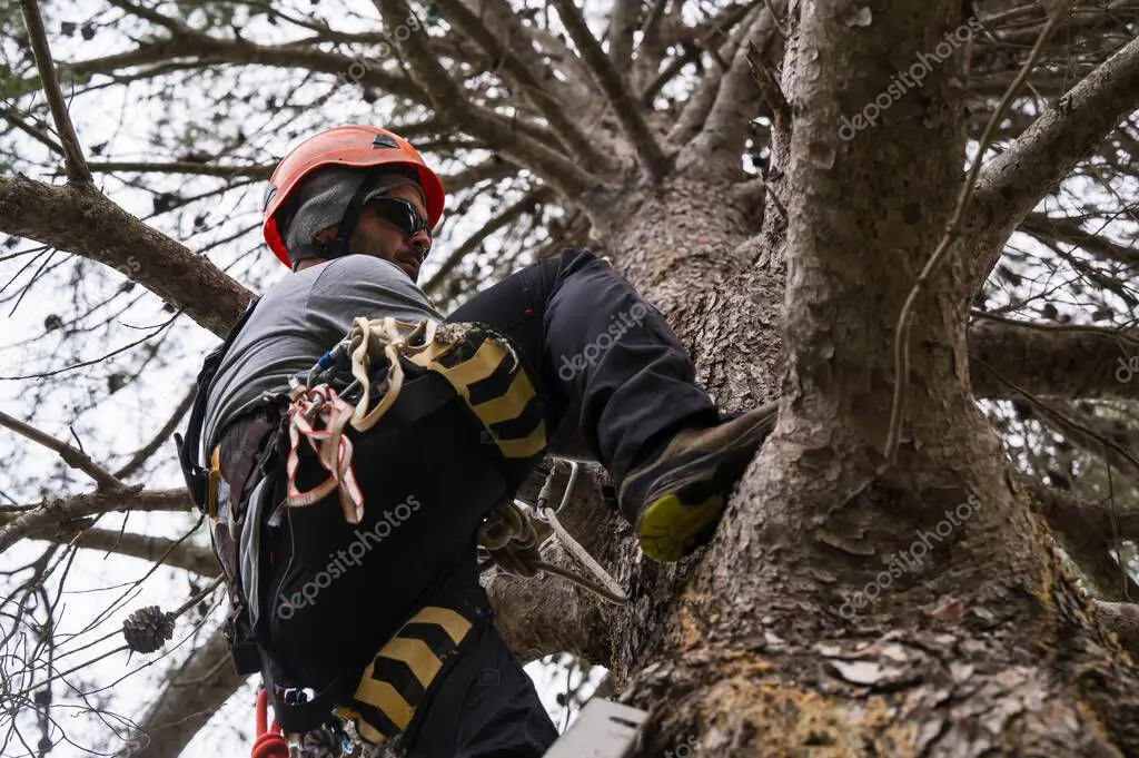 Profesional realizando tala en altura con cuerdas y equipos de seguridad