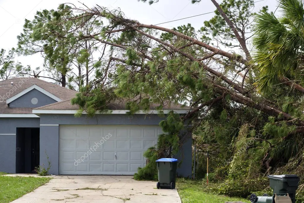 Pino caído sobre la entrada de un garaje siendo retirado por un equipo de tala