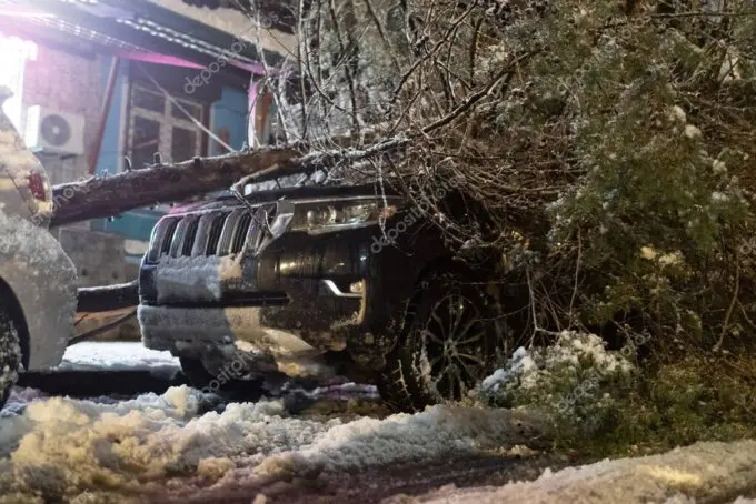Equipo de tala trabajando en la retirada urgente de un árbol caído en Madrid de noche