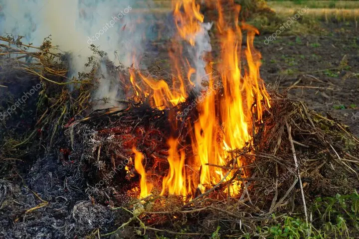 Finca rústica desbrozada para prevenir incendios