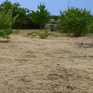 Desbroce de fincas parcelas y terrenos en Madrid