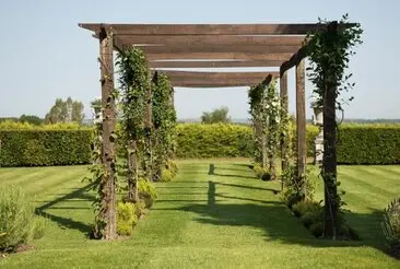 Desbroce de fincas parcelas y terrenos en Madrid